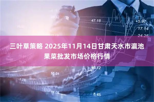 三叶草策略 2025年11月14日甘肃天水市瀛池果菜批发市场价格行情