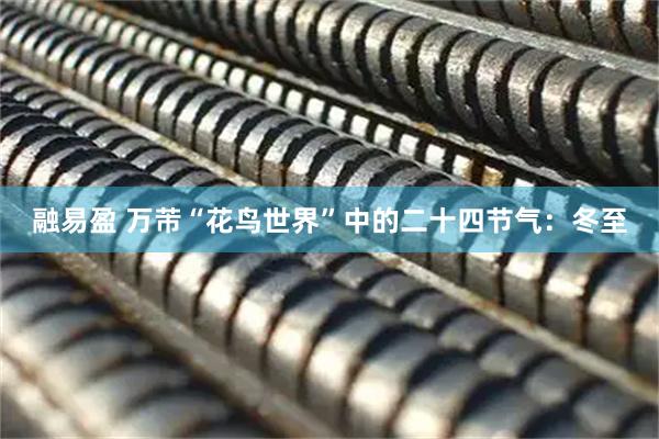融易盈 万芾“花鸟世界”中的二十四节气：冬至